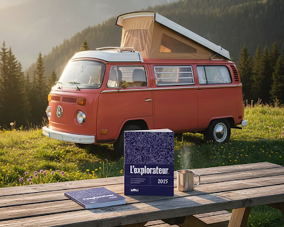 paradoxes consommateurs TÉLÉCHARGER L'EXPLORATEUR 2025